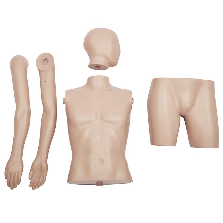 ひざ上トルソー メンズ 高さ115cm 【Y体】 B98×W76×H94cm 男性用