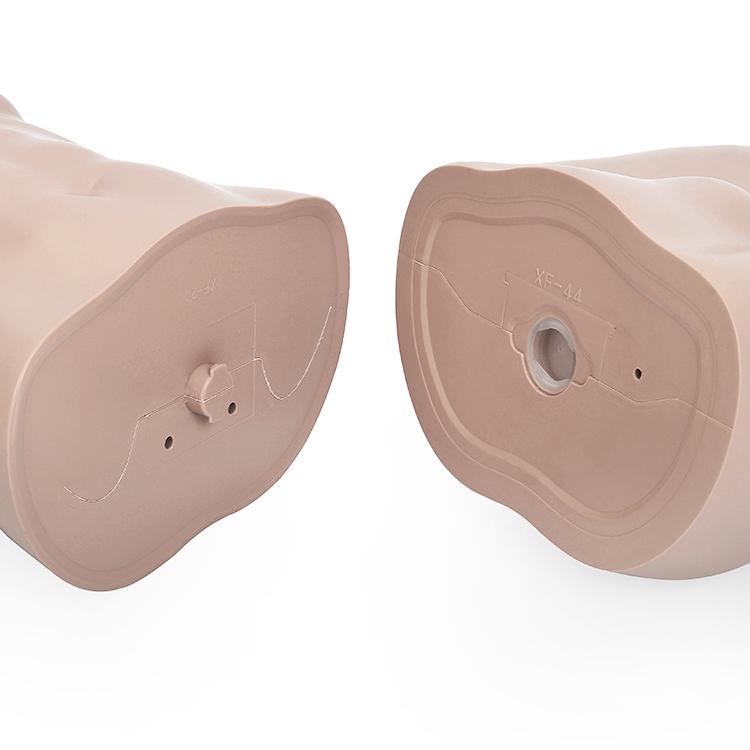 ひざ上トルソー メンズ 高さ115cm 【Y体】 B98×W76×H94cm 男性用