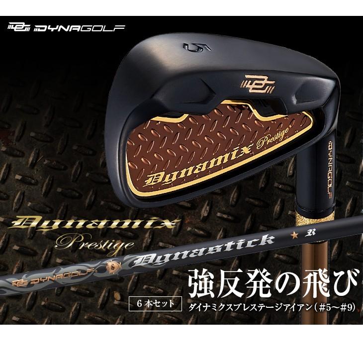 DYNAGOLF（ダイナゴルフ） ゴルフ クラブ アイアンセット メンズ 6本