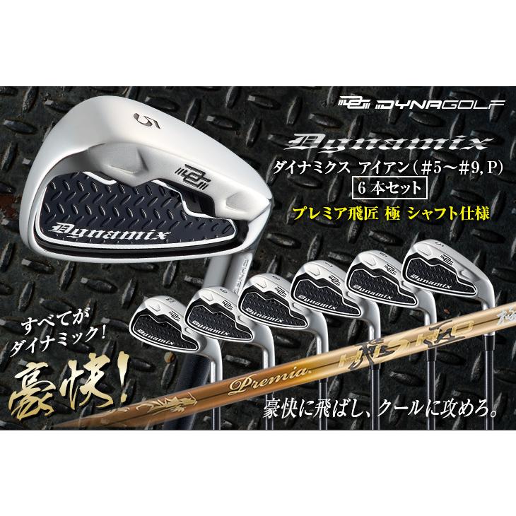 DYNAGOLF（ダイナゴルフ） ゴルフ クラブ メンズ アイアンセット 6本