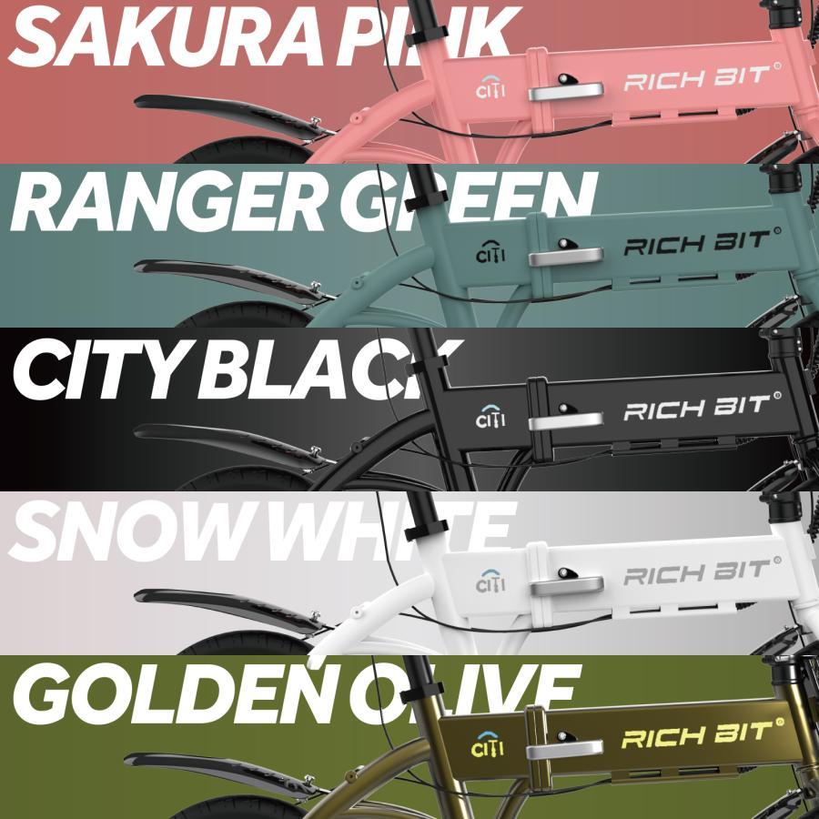 電動アシスト自転車 RICHBIT CITY ASSIST（シティブラック） 型式認定