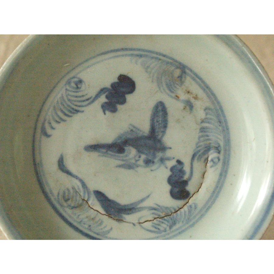 元時代 景徳鎮 青花魚藻文 古染付中皿18cm 15世紀 アジア 古玩 中国