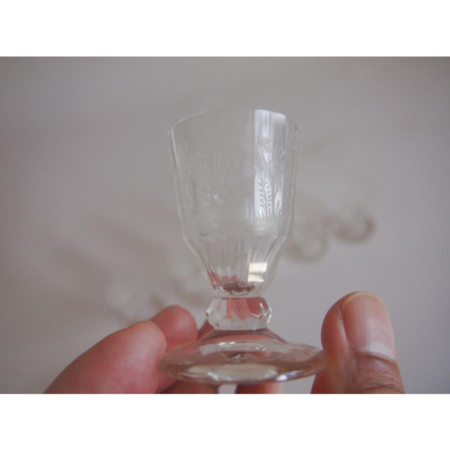 貴重1823-1900年ロブマイヤーLobmeyrリキュールグラス6客 ワイングラス