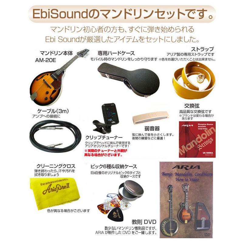 マンドリン ARIA アリア AM-20E 初心者 11点セット ピックアップ搭載
