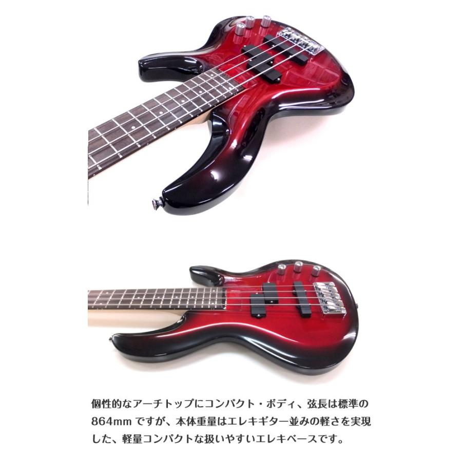 Aria Proll ベース 初心者 入門 Pro II アリア プロ IGB-STD 8点