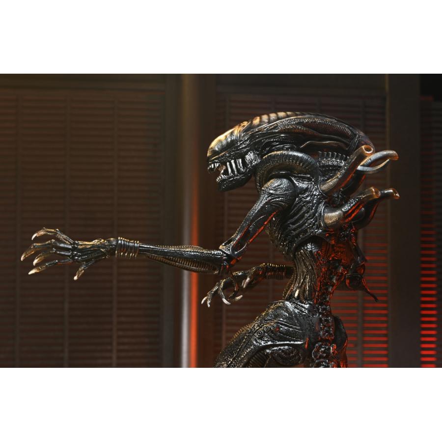 NECA（ネカ） ネカ/エイリアン ロムルス/スコーチド ゼノモーフ