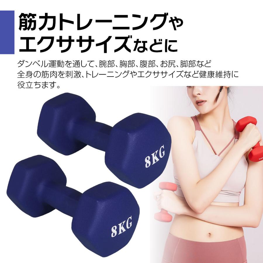 ダンベル 2個セット 鉄アレイ 8kg 筋トレ 筋力 トレーニング