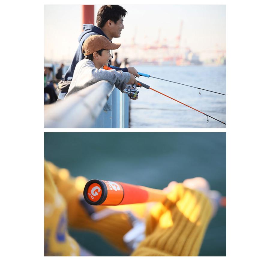 JACKALL（ジャッカル） グッドロッド GD-S62L-2PC (汎用2ピースロッド