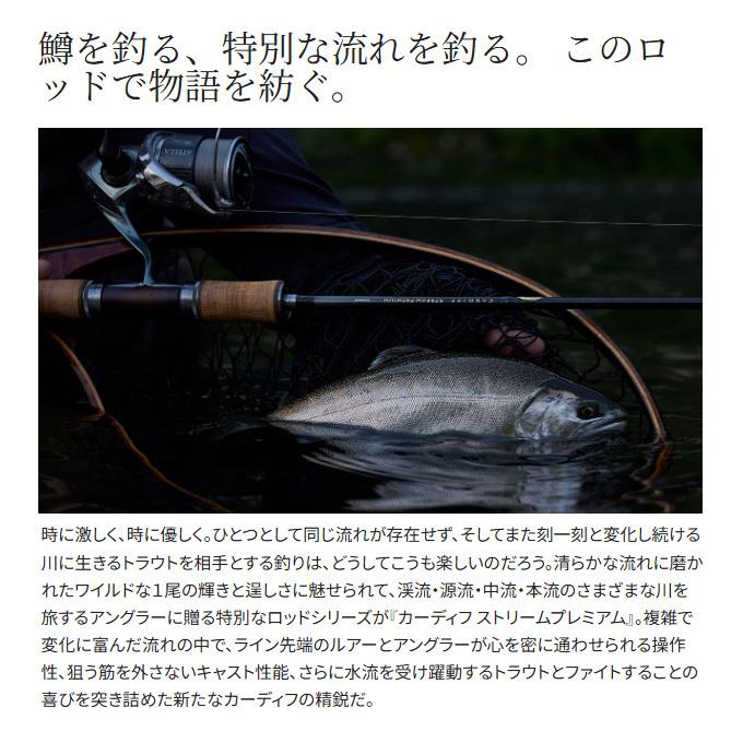 シマノ（SHIMANO） 24 カーディフ ストリームプレミアム B54UL ベイト
