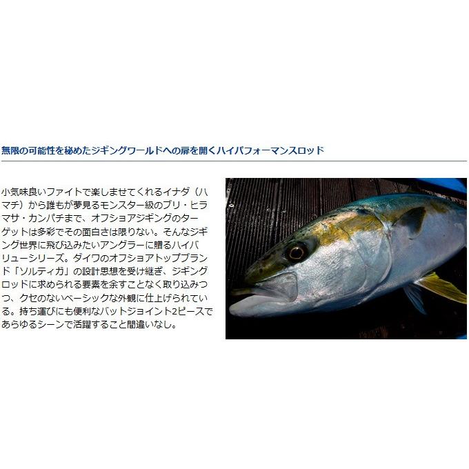 DAIWA（ダイワ） 【取り寄せ商品】ダイワ ヴァデル(59HS)(ジギング