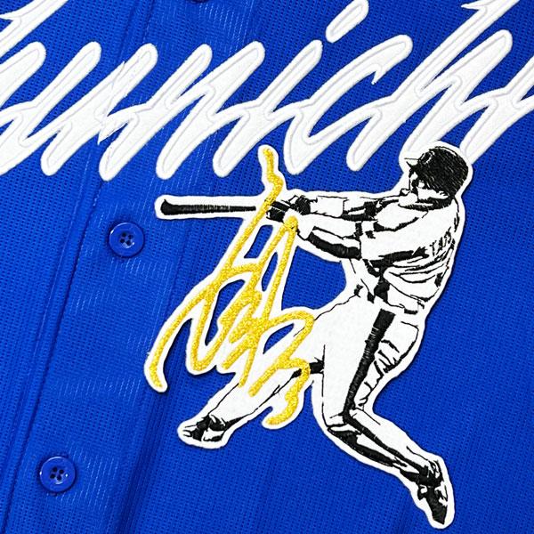 ☆送料無料☆中日 ドラゴンズ 立浪和義 シルエット2＆サイン 応援 刺繍