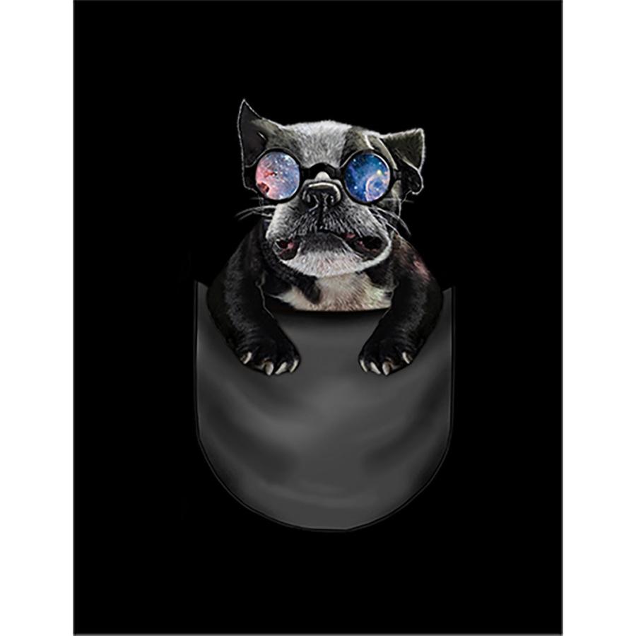 フレンチブルドッグ・ギャラクシーめがね・ポケット 】ポストカード