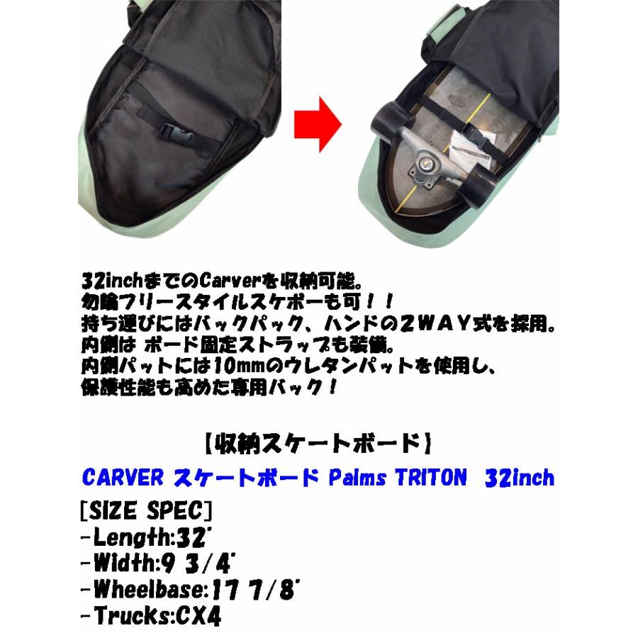 Curver SHORT PAC PET スケートボードバッグ Venicepac ベニスパック
