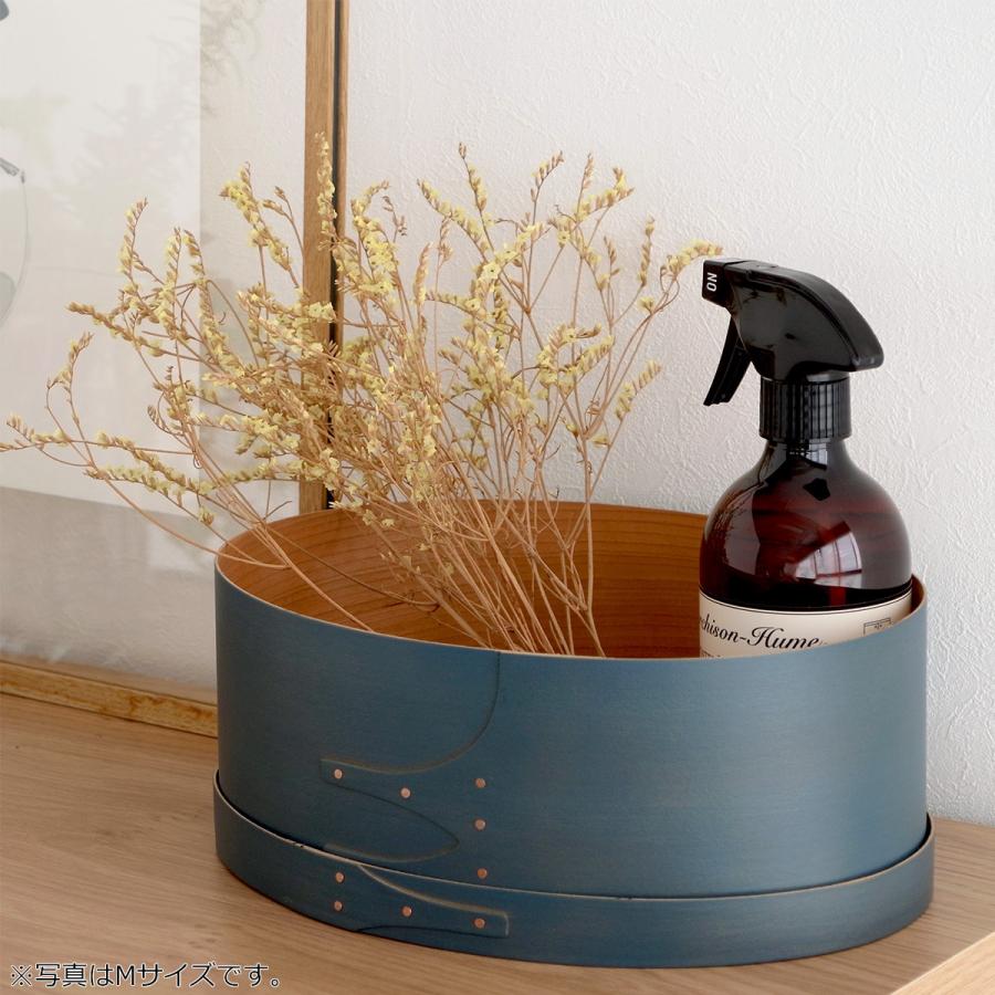 AXCIS（アクシス） ＼2/25はポイント10倍／ シェーカーボックス S