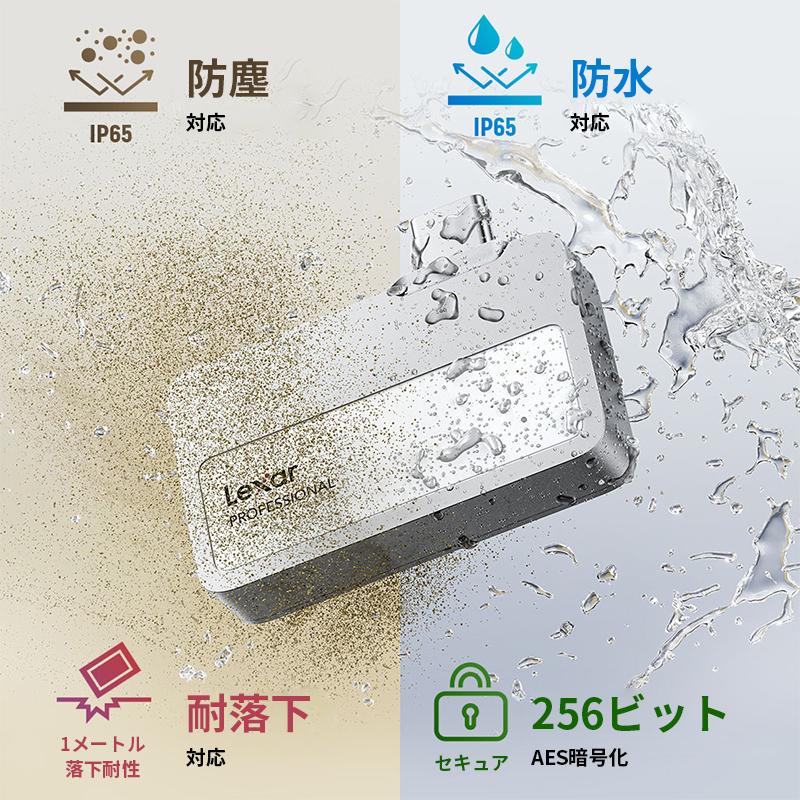 Lexar（レキサー） 【正規代理店】ハブなし シルバー Lexar