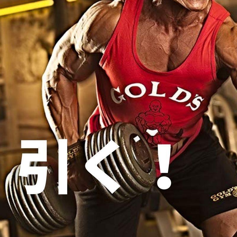 公式サイト GOLD'S GYM ゴールドジム パワーグリップ プロタイプG3710
