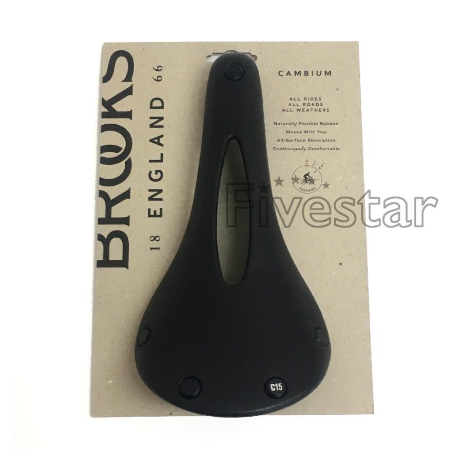 ブルックス（BROOKS） Brooks Cambium C15 Carved Black All Weather