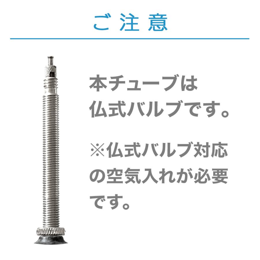 コンチネンタル（CONTINENTAL） タイヤ 2本 チューブ 2個セット GP5000