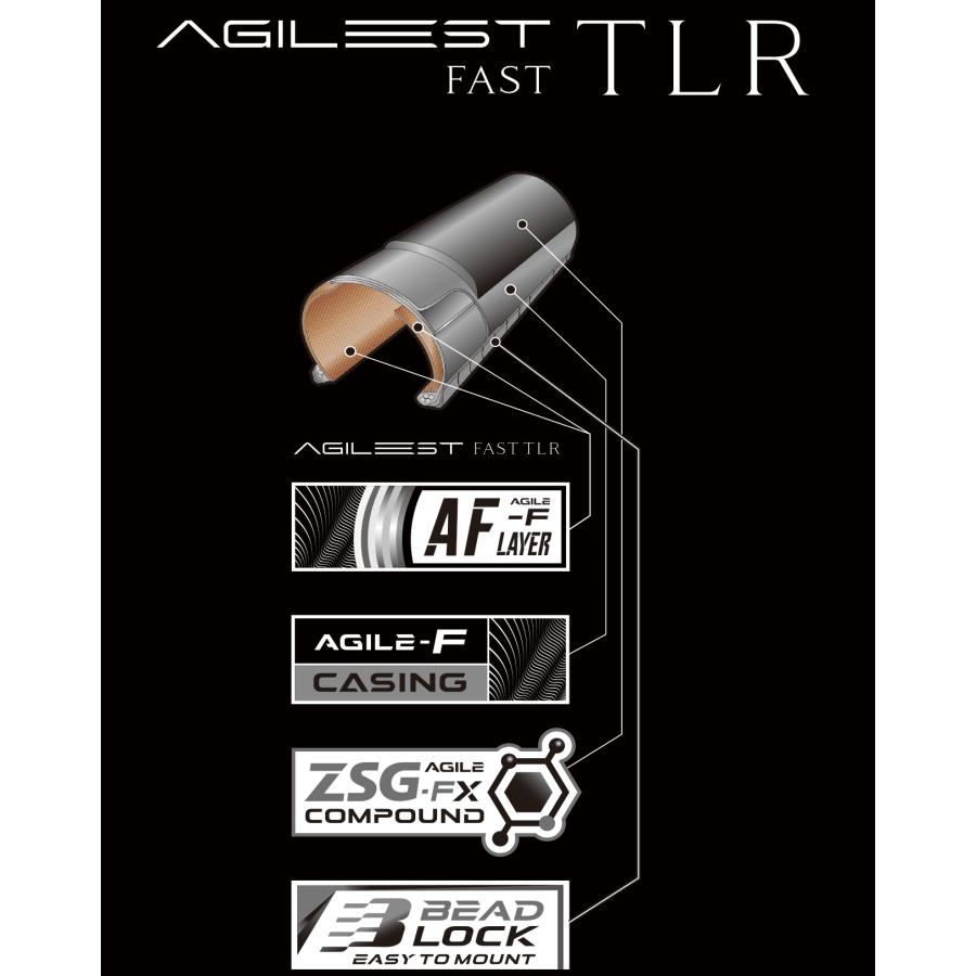 Panaracer（パナレーサー） 2本セット タイヤ AGILEST FAST TLR アジ