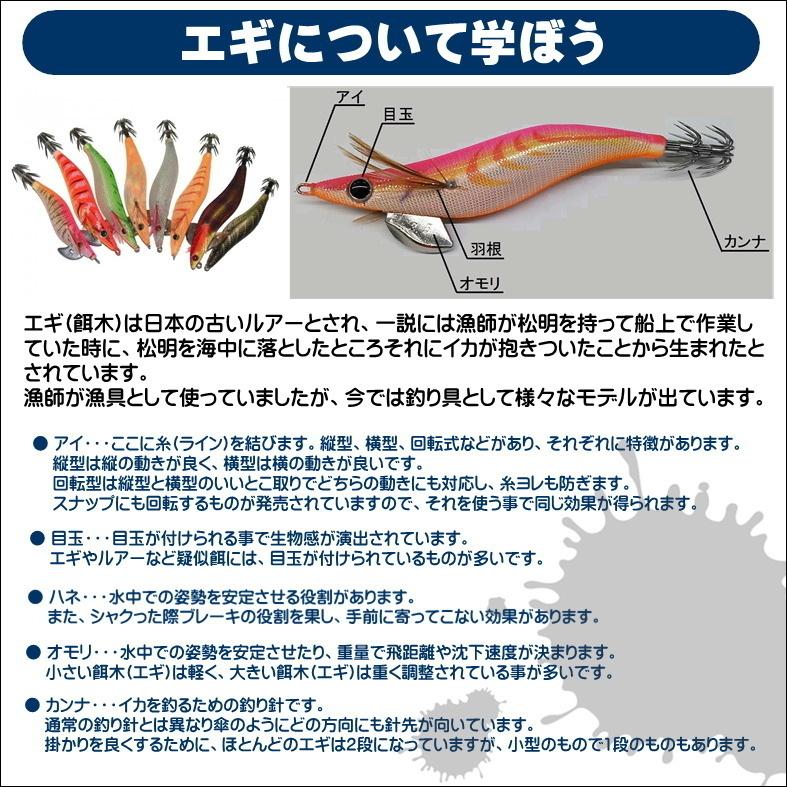 エギング入門セット ロッド・PEライン付きリール・エギ ラトル 2.5号5