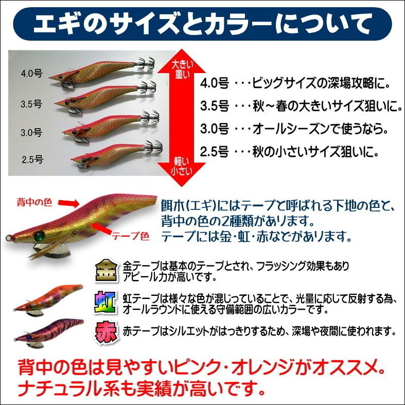 エギング入門セット ロッド・PEライン付きリール・エギ ラトル 2.5号5