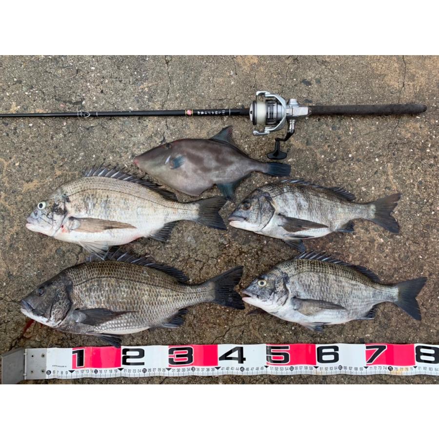 サクラ(櫻井釣具) 伊勢かぶせ釣り 195 : フィッシングトライ - 通販