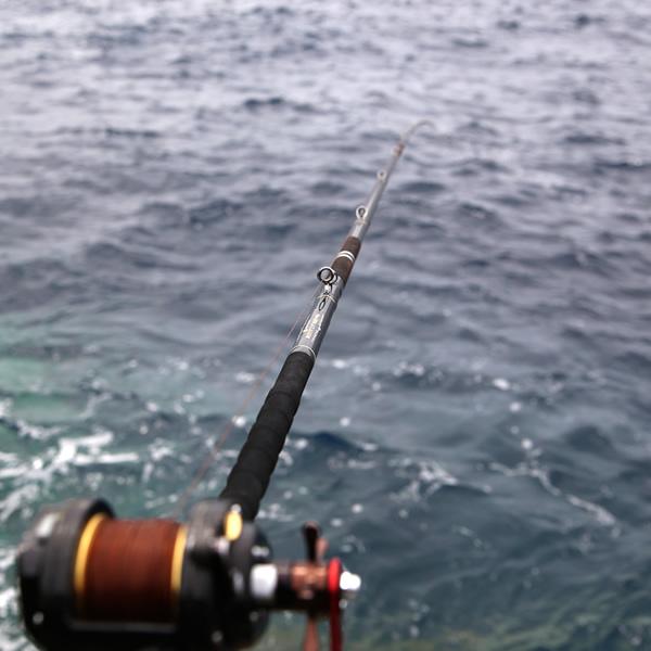 石鯛竿 石鯛釣り 底物竿 カリプソ石鯛ブラックマスク500（付属品付