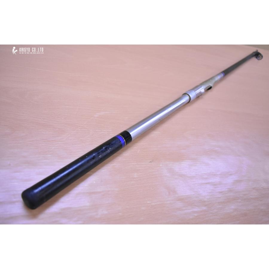 DAIWA（ダイワ） 紫電 メガディス 3-53 遠投 スピニングロッド DAIWA