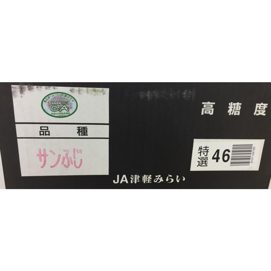 りんご サンふじ 青森産 高糖度 JA津軽みらい 黒箱 特選 46玉入り 約