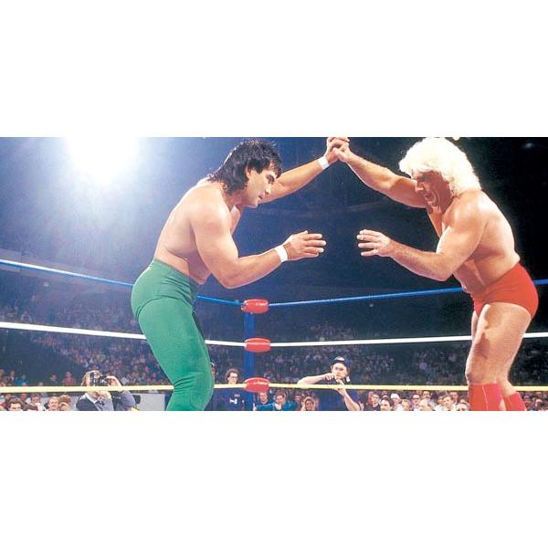 狂乱の貴公子” リック・フレアー Tシャツ「RIC FLAIR Flair Chopped T