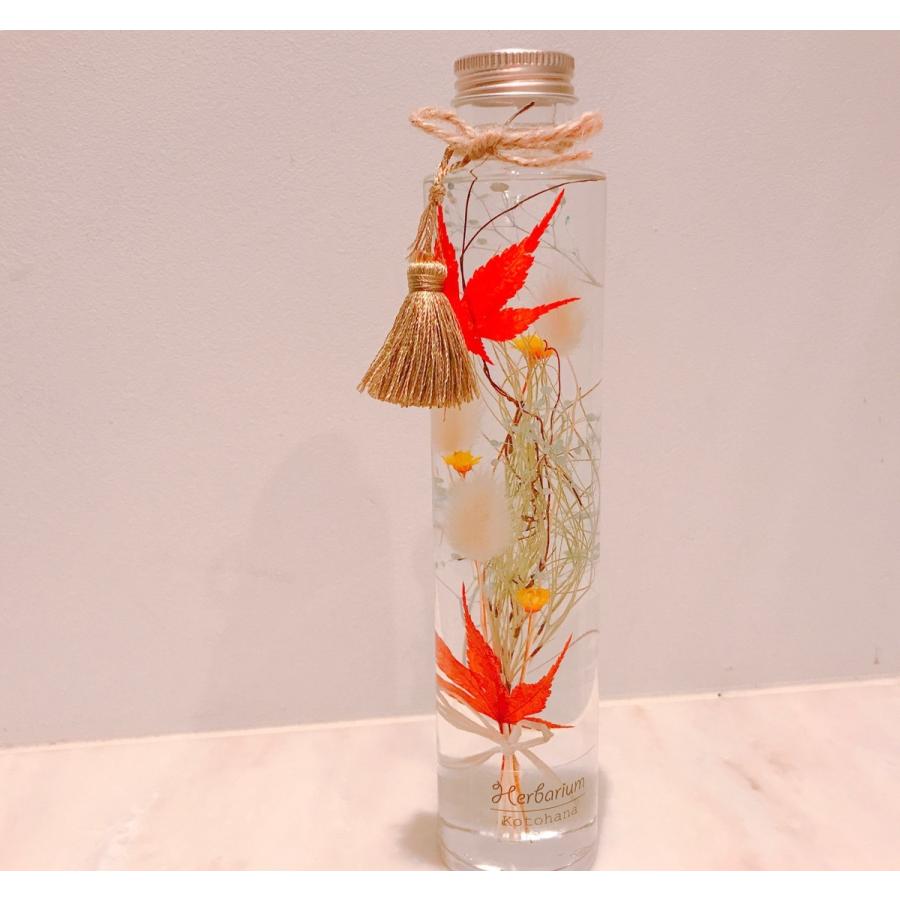 ハーバリウム もみじ healing 大 hz011 : Kotohana - 通販 - Yahoo