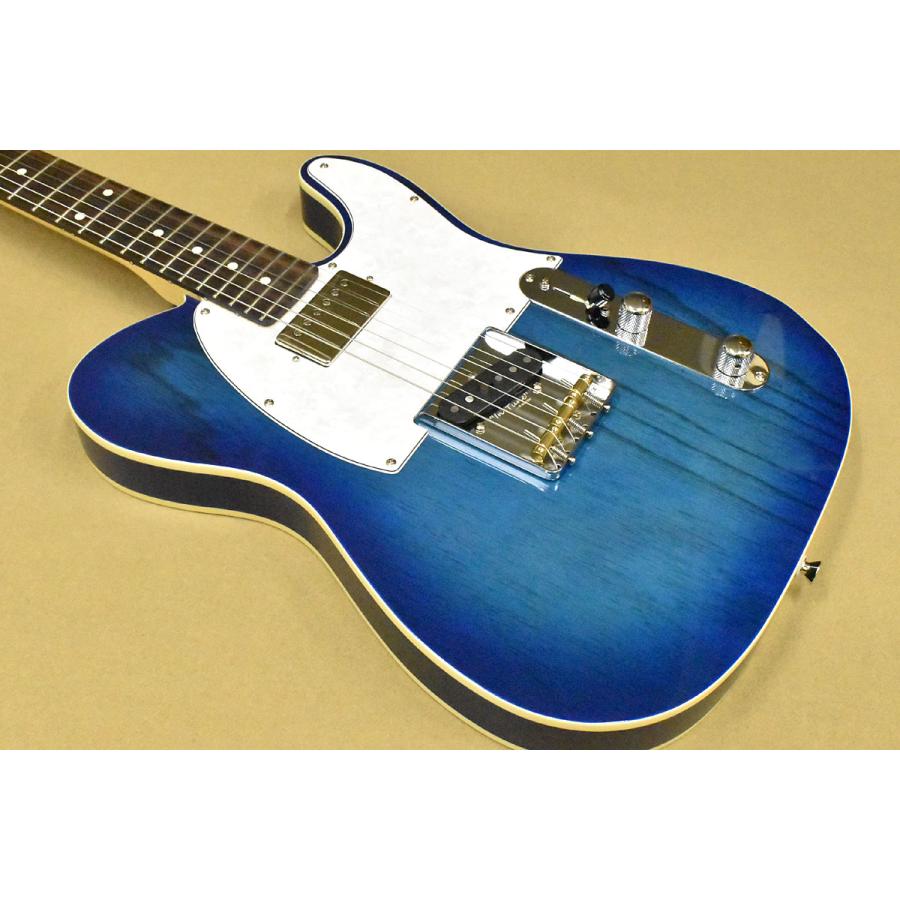 FUJIGEN（フジゲン） FUJIGEN/FgN Neo Classic NTE210RAH SBB(Fine