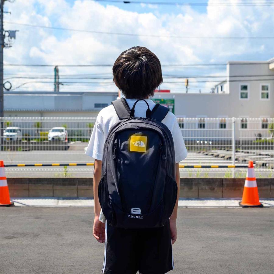 THE NORTH FACE（ザ ノースフェイス） ノースフェイス リュック 22L