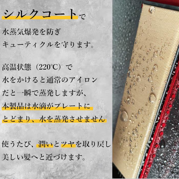 大阪ブラシ P-UP エクステラ ケミストリー テラヘルツ×シルクコート