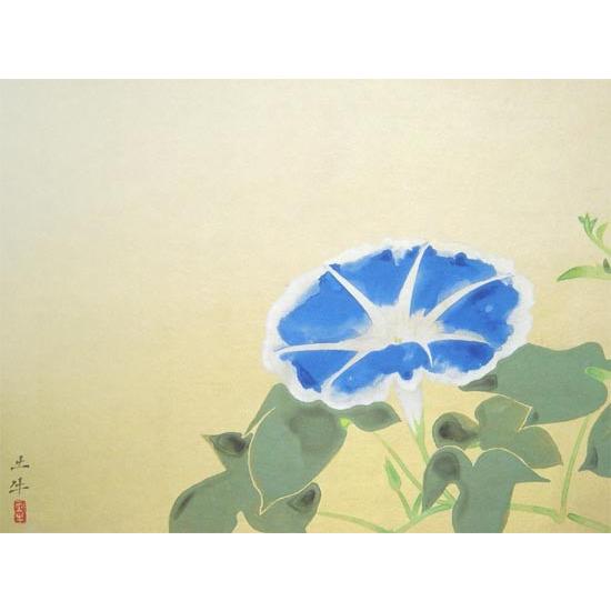 奥村土牛 掛け軸 朝顔 【掛軸】【一間床・半間床】【丈の短い掛軸
