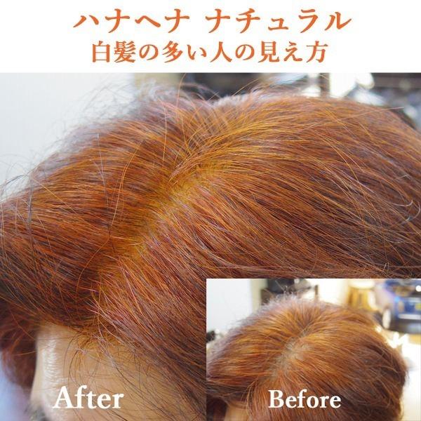 ヘナ ハナヘナ hana henna ヘナナチュラル&ハーバルブラウン 各100g 1