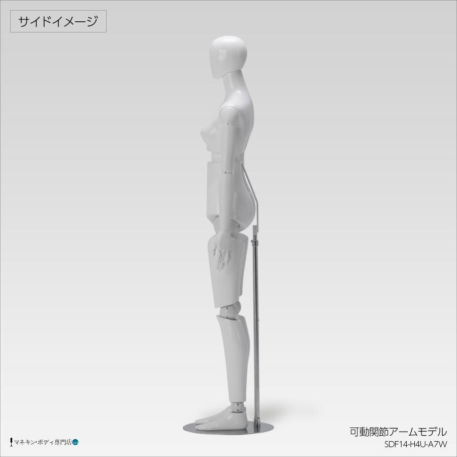 全身可動マネキン Newサンドール 婦人 可動アーム ウエストリフト FRP
