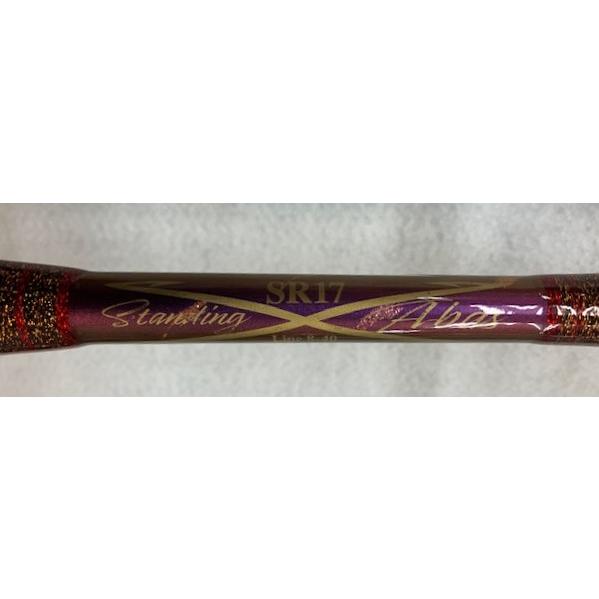 ☆離島発送不可☆ 剛樹 スタンディング アーバス SR17 泳がせ釣り : 金