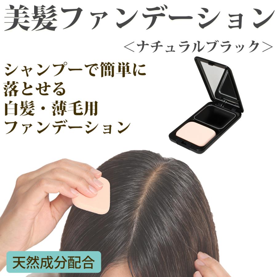 Tommy Rich（トミーリッチ） 1個 白髪隠し 美髪ファンデーション‐ヘア