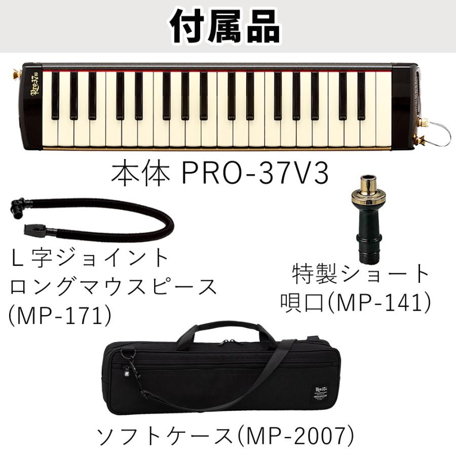 アイオン スズキ 鍵盤ハーモニカ メロディオン アルト PRO-37v3 専用