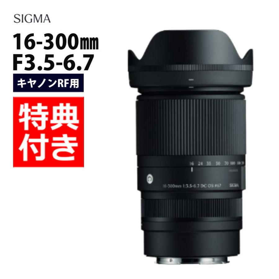 シグマ（SIGMA） （レビューでプレゼント） バッグ付き 16-300mm F3.5
