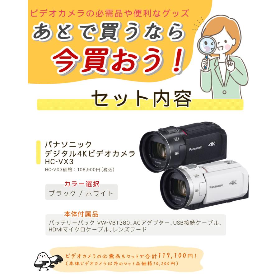 Panasonic（パナソニック） デジタル4Kビデオカメラ HC-VX3 ブラック