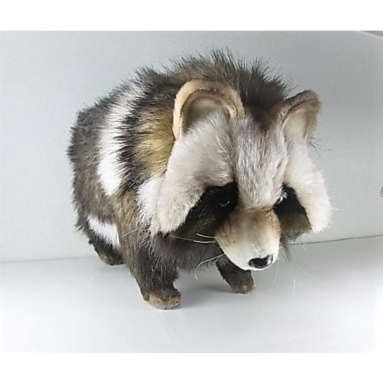 HANSA 7256 タヌキ 46 ぬいぐるみ RACOON DOG たぬき : HONDA STORE