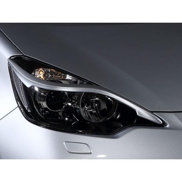 ロウェン アクア NHP10 アイラインガーニッシュ Wet Carbon クリア塗装