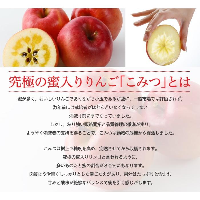 りんご こみつ 秀品 6〜13玉 2kg 究極の蜜入りりんご 青森県産 JA津軽