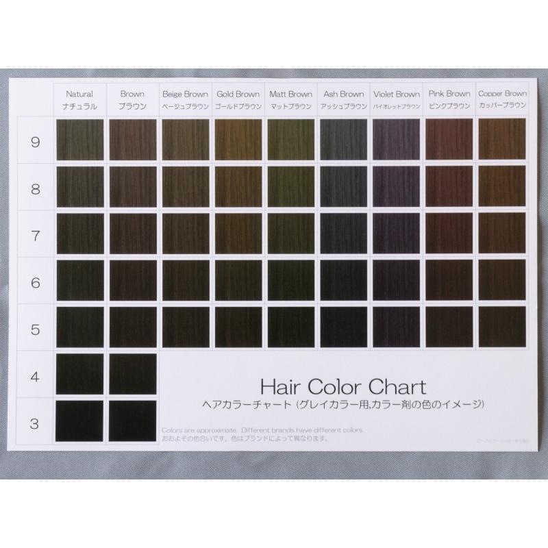 ヘアカラーチャート(グレイカラー,白髪染め) A5超厚口両面 表:仕上がり