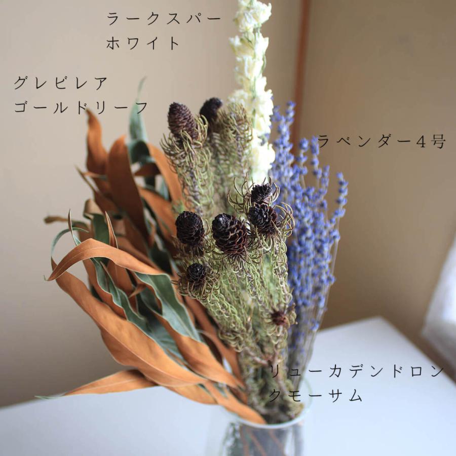 ネイティブフラワー ドライフラワー】グレビレア ゴールドリーフM