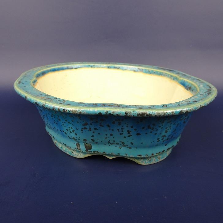 盆栽鉢 常滑 樹晃 鴻陽陶園 小型 長辺 約17cm 木瓜鉢 外縁 釉薬 現品