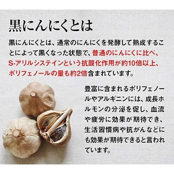 送料無料】NEW 黒にんにく発酵器 【メーカー正規品】自宅で簡単手作り