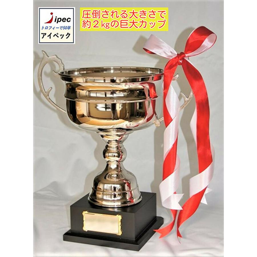 優勝カップ LS-398-A Aサイズ 特大46cm 1.9kg カップ : アイペック